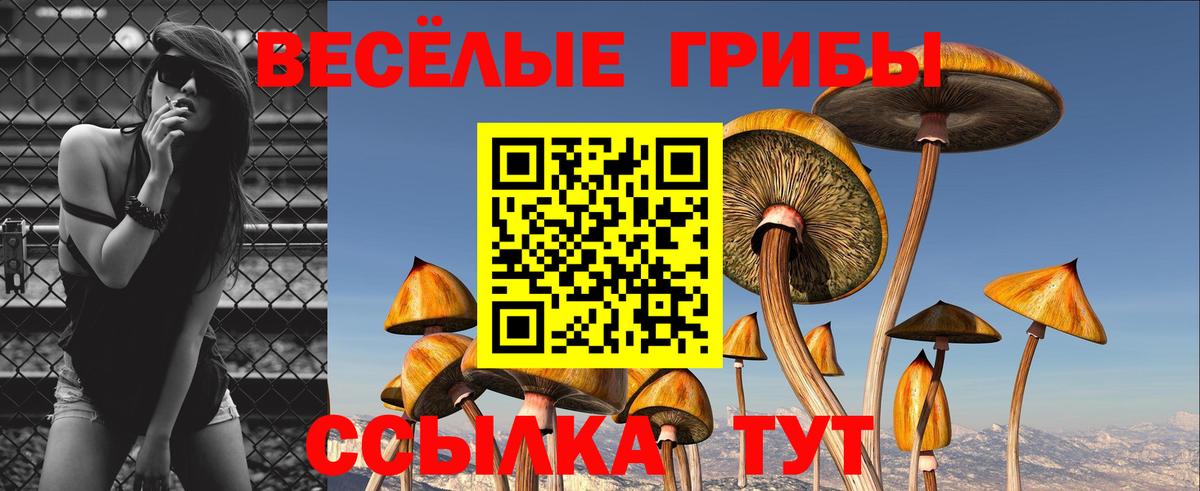 Псилоцибиновые грибы GOLDEN TEACHER Муравленко